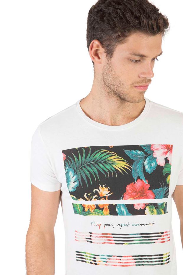 17977_C027_4-T-SHIRT-ESTAMPADA