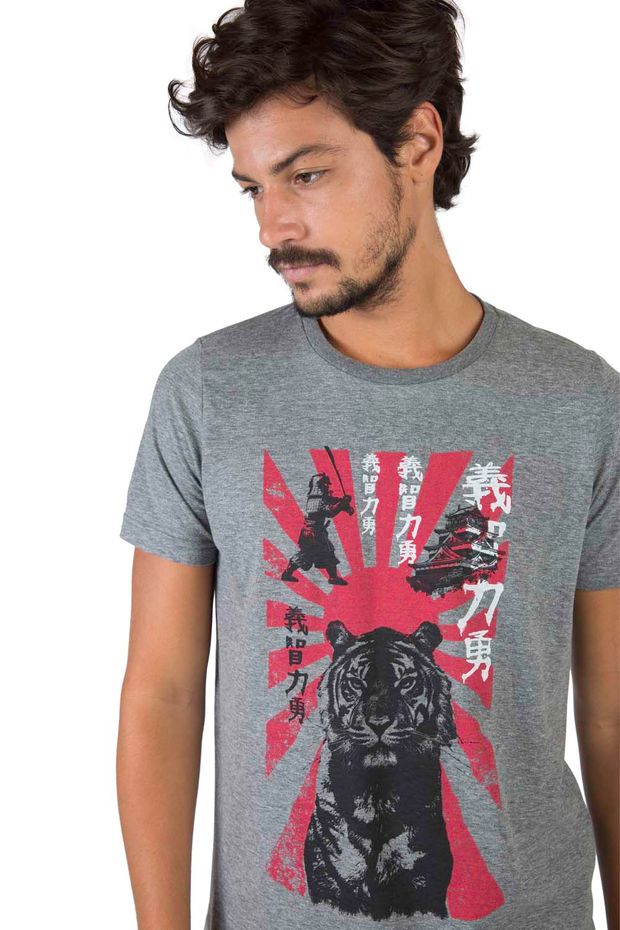 18181_C006_4-GL-O-EST-MSC-TIGRE